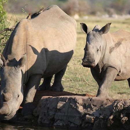 Jamala Madikwe Royal Safari Lodge Mochudi Eksteriør bilde